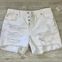 Free People We The Free Maggie Mid Rise Shorts