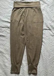 Offline by aerie Casual Tan Jogger Pants