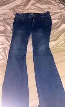 EXPRESS Low Rise Jeans