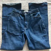 Abercrombie & Fitch Curve Love Vintage Flare High Rise Jeans