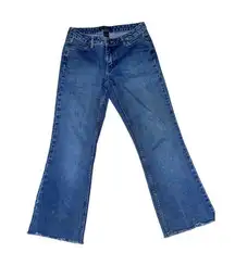 Boston Proper Straight Ankle Fringe 6 Regular Denim Jeans