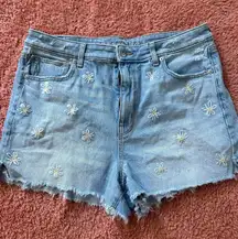 American Eagle Outfitters “Mom Shorts”