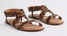 Torrid Stretch Strappy Sandal Animal Print Size 8WW