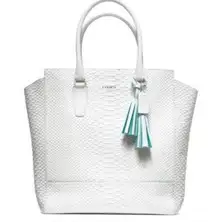 Coach  $900 Legacy Python North South Tanner Tote Chalk White Handbag 23416