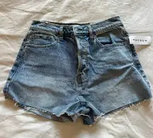 PacSun Curve Vintage High Rise Shorts