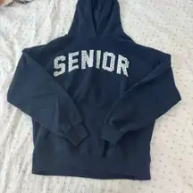 Hollister senior blue hoodie