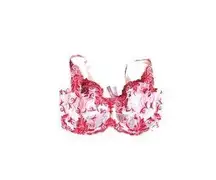 Soma Pink and Red Sensulous Lace 36G Bra