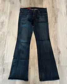 AG Adriano goldschmeid flare vintage the club jeans 30R