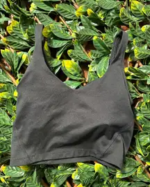 Hollister Gilly Hicks Black Sports Bra Size Medium
