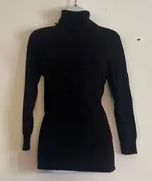 Express turtle neck sweater