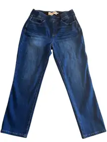 Soft Surroundings Ultimate Denim Pull-On‎ Crop Blue Jegging Pants