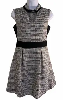 Tweed Collar Mini Dress