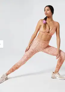 | HOT TO TROT LEGGING WILD BUNCH SMALL