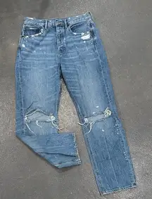 American Eagle Outfitters Light Blue Denim 90s Boyfriend Long Jeans