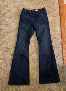 Cinch Jeans