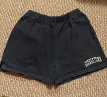 Brandy Melville Shorts