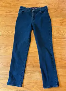 Gloria Vanderbilt Amanda Classic Fit Jeans – Size 8