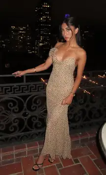 Zara Leopard Print Maxi Dress evening party cocktail