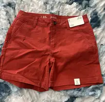 a.n.a High Waist Brick Red Shorts, Sz 2