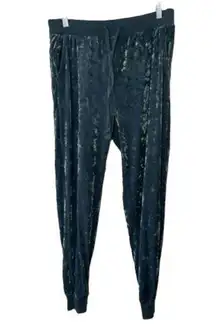 Aerie  Blue Velour Loungewear Elastic Waist Jogger Pants Size Small