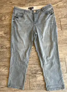 Democracy Ab Solution Pull On pants Plus size 18W 18 W Jeans Jean W1X2069GX