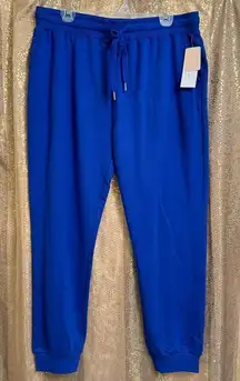 Spiritual Gangster  Love More Zoe Slim Jogger Electric Cobalt XL NWT