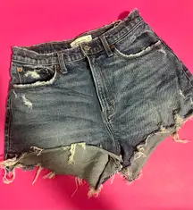 High Rise Mom Shorts