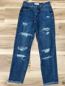 Nature Denim High Rise Ripped Raw Hem Distressed Skinny Jeans 0/23