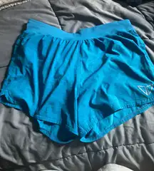 Blue Athletic Shorts