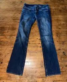 American Eagle slim boot size 4 long cowboycore jeans