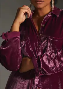 Pilcro Anthropologie Velvet Button Up Shirt Purple Long Sleeve XS boho whimsi
