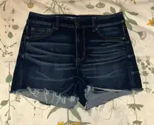 American Eagle high rise shortie
