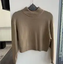 Aritiza mock neck Sweater