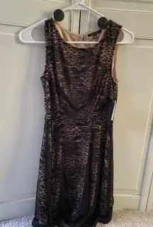 Lace Dress