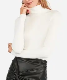 Express Stretchy Ribbed Knit Turtleneck Sweater