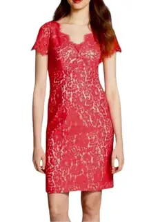 Eliza J Cap Sleeve Coral Lace Sheath Dress size 6 Short Sleeves V Neck