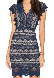 Nightcap Sz 2 Women's Navy & Nude Scalloped Antoinette Sheath‎ Dress