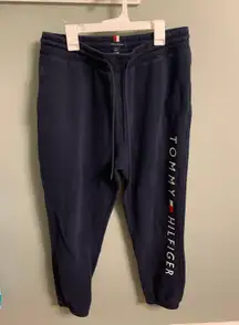 Tommy Hilfiger Navy Sweatpants