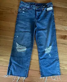 Express Womens 90s Ankle Boot Mid Rise Distressed Cropped Jeans‎ Size 4S