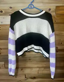 American Eagle Crop Sweater