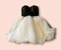 Strapless Black and Cream Tulle Dress