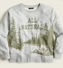 J. Crew University Terry "All natural" crewneck sweatshirt, Grey & Green | Small