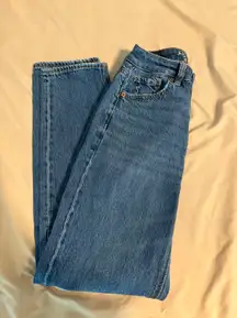 Outfitters Mom Straight Jean