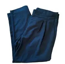 pleated dress pants