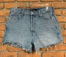 Gap  Denim Women's High Rise Cheeky Raw Hem Button Fly Jean Shorts Blue - Size 10