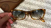 RAY-BAN Lady Burbank Sunglasses in Tortoise