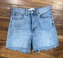 Aritzia Denim Forum Denim Blue Women's Shorts