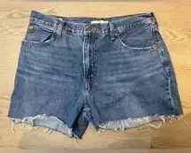 Levi’s Women’s Dad Jean Water‎ Less Short Shorts Size 32