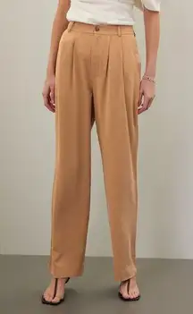 RTR Reformation Sz 6 Brown Mason Pleated Wide Leg High Waist Trouser Pants
