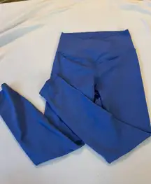 Blue Danskin Leggings